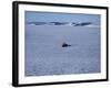 Franz Josef Land, Aerial View of Russian Nuclear-Powered Icebreaker 'Yamal' in Sea-Ice, Russia-Allan White-Framed Photographic Print