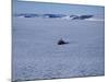 Franz Josef Land, Aerial View of Russian Nuclear-Powered Icebreaker 'Yamal' in Sea-Ice, Russia-Allan White-Mounted Photographic Print