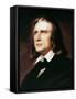 Franz Liszt (1811-1886)-Wilhelm Von Kaulbach-Framed Stretched Canvas