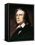 Franz Liszt (1811-1886)-Wilhelm Von Kaulbach-Framed Stretched Canvas