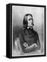 Franz Liszt, 19th Century Hungarian Virtuoso Pianist and Composer-null-Framed Stretched Canvas