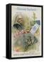 Franz Liszt, Austrian Composer and Musician-null-Framed Stretched Canvas