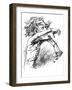 Franz Liszt - caricature-Janos Janko-Framed Giclee Print