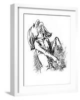 Franz Liszt - caricature-Janos Janko-Framed Giclee Print