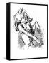 Franz Liszt - caricature-Janos Janko-Framed Stretched Canvas