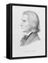 Franz Liszt, Engraved by Gonzenbach-Wilhelm Von Kaulbach-Framed Stretched Canvas