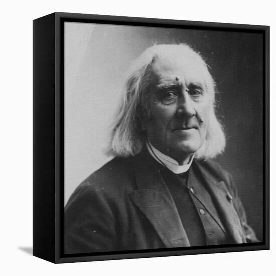 Franz Liszt, Hungarian Composer and Pianist, 1886-Felix Nadar-Framed Stretched Canvas