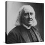 Franz Liszt, Hungarian Composer and Pianist, 1886-Felix Nadar-Stretched Canvas