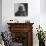 Franz Liszt, Hungarian Composer and Pianist, 1886-Felix Nadar-Giclee Print displayed on a wall