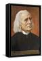 Franz Liszt Hungarian Musician-null-Framed Stretched Canvas