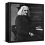 Franz Liszt, Hungarian Pianist and Composer, 1886-null-Framed Stretched Canvas