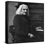 Franz Liszt, Hungarian Pianist and Composer, 1886-null-Framed Stretched Canvas