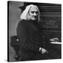 Franz Liszt, Hungarian Pianist and Composer, 1886-null-Stretched Canvas