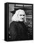 Franz Liszt, Hungarian Pianist and Composer, Late 19th Century-null-Framed Stretched Canvas