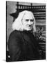 Franz Liszt, Hungarian Pianist and Composer, Late 19th Century-null-Stretched Canvas