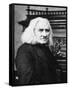 Franz Liszt, Hungarian Pianist and Composer, Late 19th Century-null-Framed Stretched Canvas