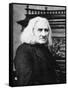 Franz Liszt, Hungarian Pianist and Composer, Late 19th Century-null-Framed Stretched Canvas