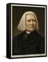 Franz Liszt-null-Framed Stretched Canvas