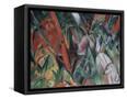 Canvas Black