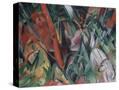 Stretched Canvas