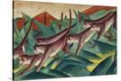 Stretched Canvas