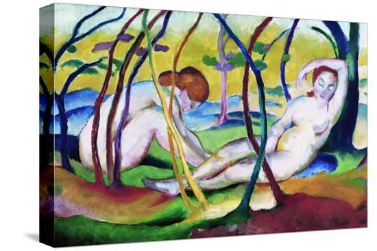 Stretched Canvas Print, , large