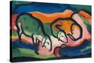 Stretched Canvas