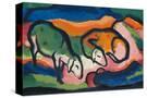 Stretched Canvas