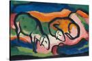 Stretched Canvas
