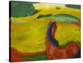 Stretched Canvas