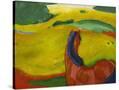 Stretched Canvas