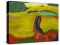 Stretched Canvas