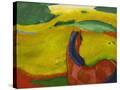 Stretched Canvas