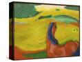 Stretched Canvas