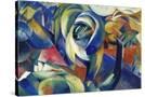 Stretched Canvas