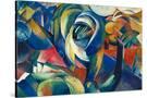 Stretched Canvas