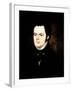 Franz Peter Schubert-null-Framed Giclee Print