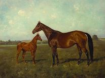 A Mare and Foal in a Landscape-Franz Reichmann-Stretched Canvas