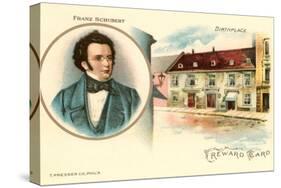 Franz Schubert and Birthplace-null-Stretched Canvas