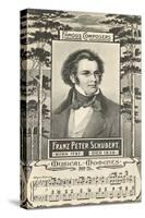 Franz Schubert and Music-null-Stretched Canvas
