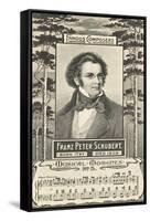 Franz Schubert and Music-null-Framed Stretched Canvas