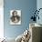 Franz Schubert-null-Photographic Print displayed on a wall