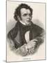 Franz Schubert-null-Mounted Photographic Print