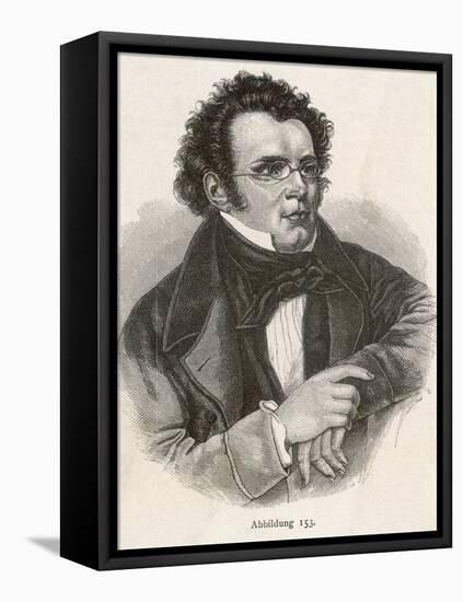 Franz Schubert-null-Framed Stretched Canvas