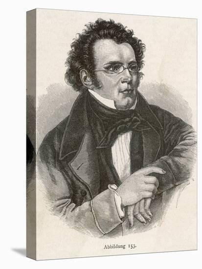 Franz Schubert-null-Stretched Canvas