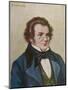 Franz Schubert-Rudolf Klingsbogl-Mounted Photographic Print