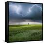 Canvas Black