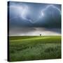 Stretched Canvas