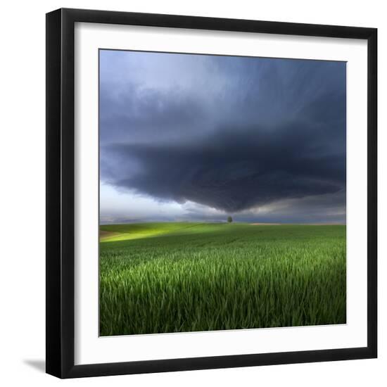 Premium Photographic Print, , large