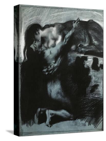 Stretched Canvas Print, , large